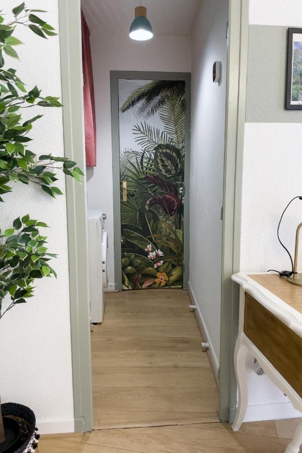 Appartement Lumineux 1 Chambre Hypercentre Place St Jean Valence  Bagian luar foto