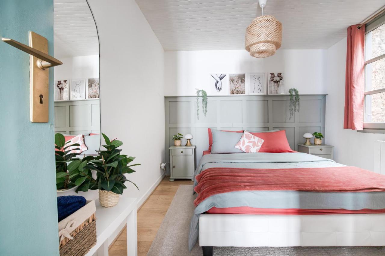 Appartement Lumineux 1 Chambre Hypercentre Place St Jean Valence  Bagian luar foto